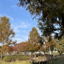 큰애기관광안내소 | [울산][중구][울산큰애기]가족과 함께하면 좋은 울산 중구 관광 투어 코스 추천! 울산 태화강 국가정원...