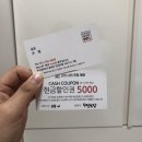 [내돈내산] 미남 나인나인프로헤어(99% hair)
