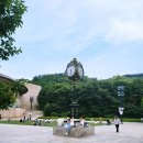 [아마데우스 2024 : 오스트리아의 모차르트] 관람 후기