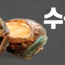 (주)윈플러스마트 이미지