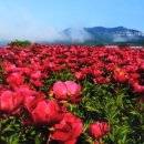 김종언농장 네이버블로그
