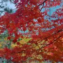 덕동폭포집 | 충북 제천 가볼만 한 곳 배론성지 핫플 단풍명소 제천 10경 천주교 성지