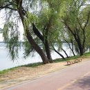 응봉 자전거대여소 이미지