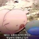 에피티