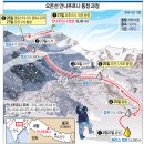 오은선