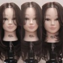 리아노원 이미지