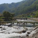 병하 농장 | 35. ◆◆◆ 蘭皐 平生 詩 (난고 평생 시) ◆◆◆