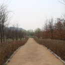 이경숙할머니음식점 이미지