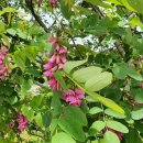 기산면보건지소 이미지