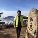 진성코리아 이미지