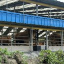 기범농장 이미지