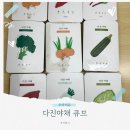 다진디자인 | 오아미유 | 다진야채 큐브 후기