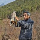 매사냥체험홍보관 이미지