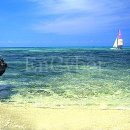 카리브해 이미지