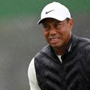 넥서스 골프연습장 이미지