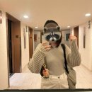 [하와이 4박 6일] Day3 - Hertz 렌트, North Shore 드라이브(86번 국도), 쿠알로아랜치 정글투어, 샥스...