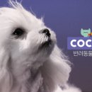 야 이미지