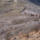 유유자적 이미지