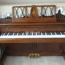 에코르피아노학원 이미지