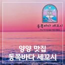 동쪽바다 세꼬시 | [양양] 직접 잡은 자연산 참가자미 맛집 동쪽바다 세꼬시