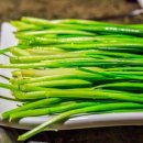 성모소아청소년과의원 이미지