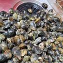 제주곶자왈별장 이미지