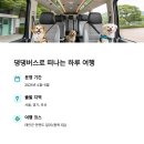 반려동물과함께하는#설렘 이미지