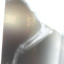 동현24시동물병원 네이버블로그