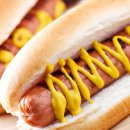 Hot Dog 이미지