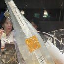 일편댕심 이미지