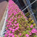 4호선 영산대역 이미지