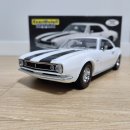 1/18 exact detail/GMP/ACME/autoworld camaro, mustang, barracuda etc 이미지