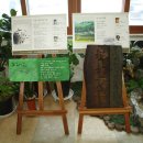 성주면사무소 이미지