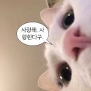 예성한의원 | 저 고관절에 약침 맞았어요