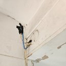 염창지역정보센터 이미지