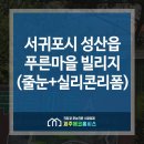 [줄눈+코팅전문업체-제주에코홈시스] 제주 서귀포시 성산읍 푸른마을 빌리지 - 제주줄눈시공+실리콘리폼 이미지