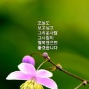 ♡ 6월 28일 금요일 전북방 출석부 입니다. ♡ 이미지