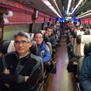 편백자연휴양림 이미지