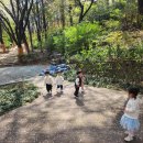 멍멍이와 야옹이 나들이 이미지