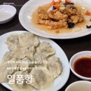 세븐일레븐 부산대신대영로점 | 부산 맛집 일품향 일요일 11시 신발원 대신 선택한 부산역 점심 메뉴 추천 내돈내산