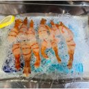 월천바다장어 | 부산 동래맛집 월천곰장어구이 독도꽃새우 먹고왔습니다. 솔직후기