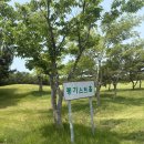 고창청정녹차농원 | 전라도 고창 2박 3일 골프여행 프리뷰) 여자 셋이 다녀온 상하목장 골프패키지