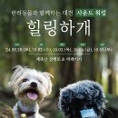 주식회사 스트레스솔루션 이미지