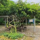 백운천 쉼터 네이버블로그