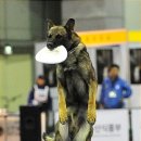 프레스집 이미지