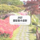 호수공원 중앙광장 | 5월의 서산, 벚꽃과 황톳길이 있는 중앙호수공원 산책