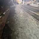 카츠올곶