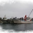 갈매기와 함께한 무박삼일~~~~~ 이미지