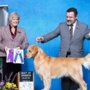 부마클럽 이미지