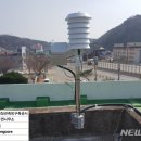 강구면사무소 이미지